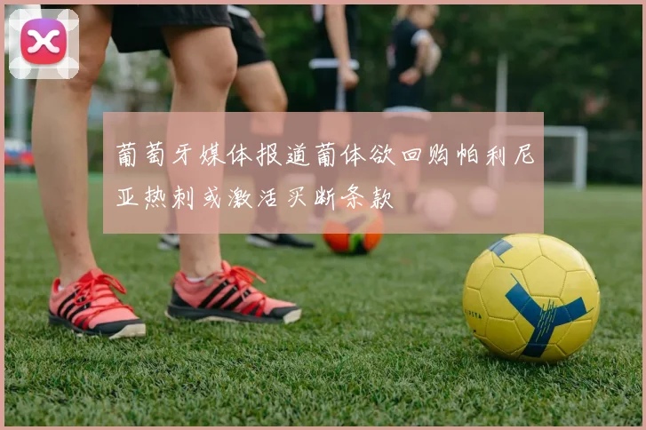 葡萄牙媒体报道葡体欲回购帕利尼亚热刺或激活买断条款